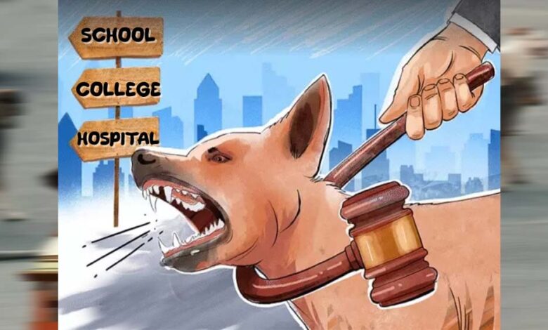 आवारा कुत्तों पर सुप्रीम कोर्ट सख्त, स्कूल-हॉस्पिटल के आसपास मौजूदगी पर रोक वाले आदेश पर मुहर