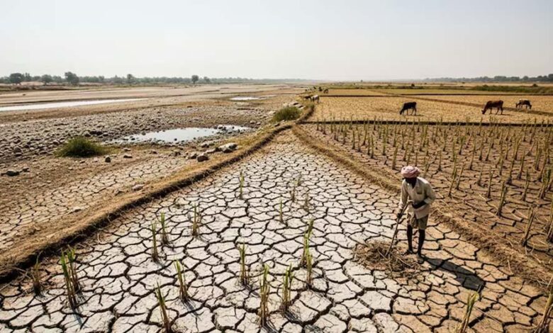 मानसून से पहले बड़ा खतरा! 75 साल की सबसे गंभीर चेतावनी से करोड़ों लोगों की बढ़ी चिंता