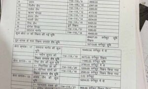 चिल्ड्रन-पार्क-की-जमीन-पर-कब्जा,-22-टुकड़ों-में-बेचकर-बना-दी-अवैध-कॉलोनी