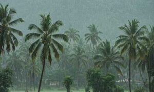 केरल-में-मॉनसून-की-रफ्तार-धीमी,-मौसम-विभाग-ने-बताई-देरी-की-वजह