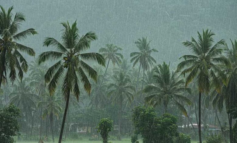 केरल-में-मॉनसून-की-रफ्तार-धीमी,-मौसम-विभाग-ने-बताई-देरी-की-वजह