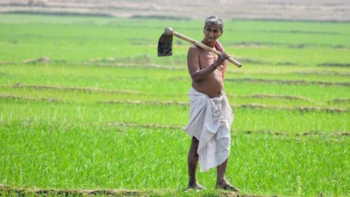 बदलती-खेती-में-नैनो-यूरिया-और-नैनो-डीएपी-बन-रहे-किसानों-की-नई-पसंद