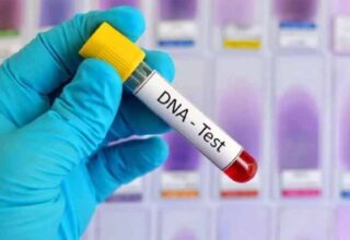 पितृत्व-विवाद-पर-सुप्रीम-कोर्ट-का-बड़ा-फैसला,-dna-टेस्ट-को-बताया-न्याय-के-लिए-जरूरी