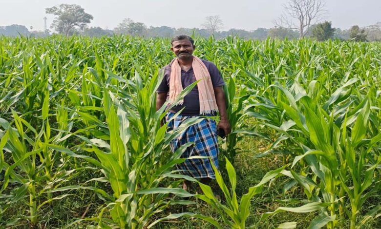 संघर्ष-से-समृद्धि-नक्सल-मुक्त-क्षेत्रों-में-आधुनिक-खेती-से-कृषक-गोपाल-एर्रागोला-ने-रची-सफलता-की-नई-इबारत