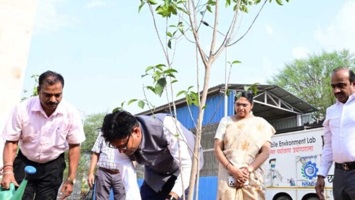 विश्व-पर्यावरण-दिवस-पर-मंत्री-ओपी-चौधरी-ने-किया-मौल-पौधे-का-रोपण