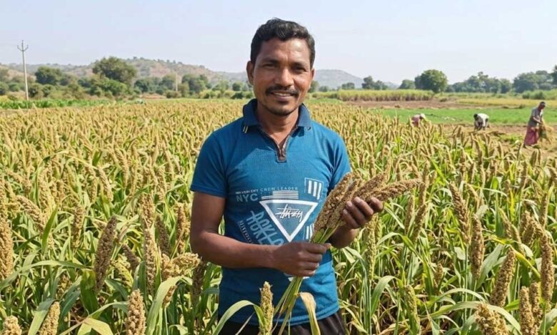 मिलेट-से-बढ़ी-आय,-किसानों-के-जीवन-में-आई-खुशहाली-श्री-अन्न-की-खेती-बन-रही-लाभ-का-नया-माध्यम